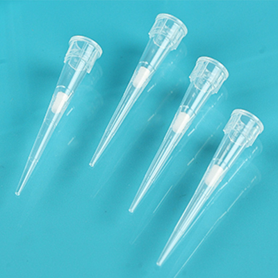 Laboratory 300ul Low Retention Filter Pipette Tips Free DNAse