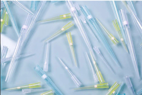 Laboratory 300ul Low Retention Filter Pipette Tips Free DNAse